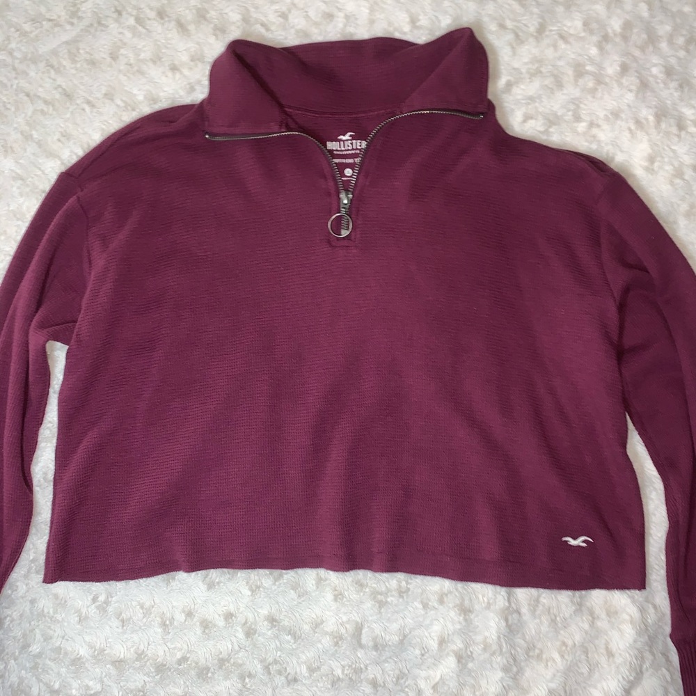 Hollister Turtle Zip Up